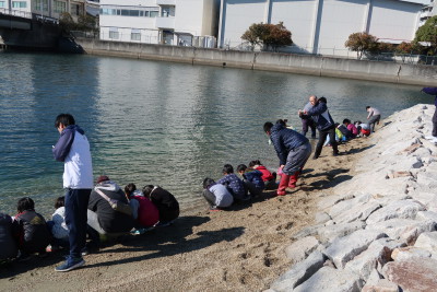 20171206浜山小学校観察会 (54)