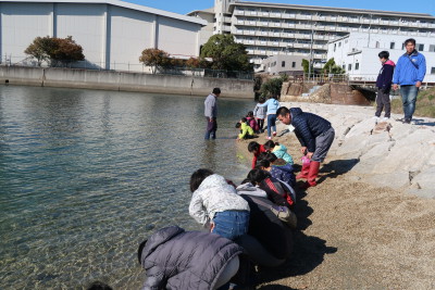 20171206浜山小学校観察会 (55)