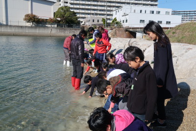 20171206浜山小学校観察会 (56)