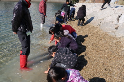 20171206浜山小学校観察会 (57)