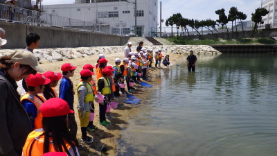 20190515浜山小観察会 (108)