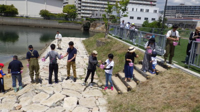 20190515浜山小観察会 (99)