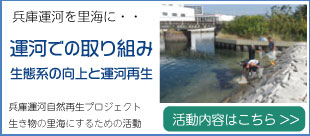 兵庫運河での取り組み