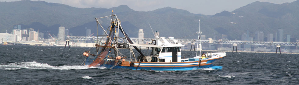 神戸近海での船曳き漁、底引き網漁、潜水漁