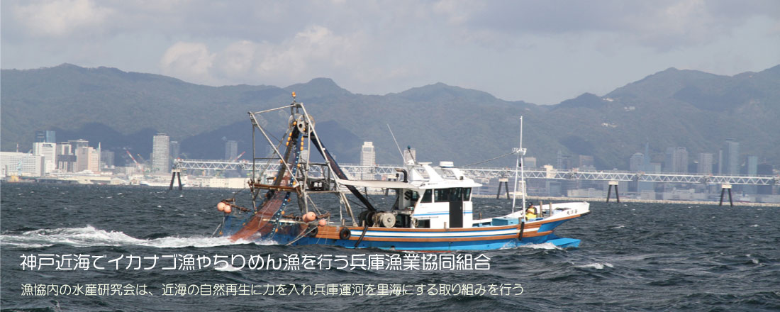 兵庫漁業協同組合