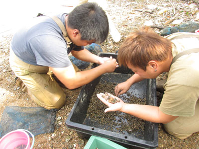 兵庫運河の環境改善